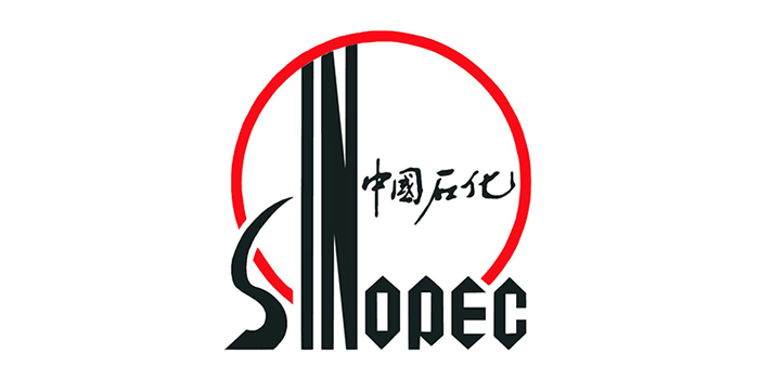 SINOPEC GROUP